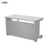 ED-SK12060GY eデスク(グレー)W1200×D600×H700【受注生産品】 ED-SK12060GY / eデスク(グレー)W1200×D600×H700【受注生産品】