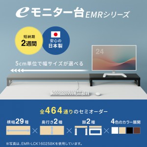 EMR-LCK10025M