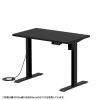 ERD-ER10565BK e電動昇降デスク(ブラック)W1050×D650【受注生産品】 ERD-ER10565BK / e電動昇降デスク(ブラック)W1050×D650【受注生産品】