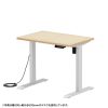 ERD-ER9560LM e電動昇降デスク(薄い木目)W950×D600【受注生産品】 ERD-ER9560LM / e電動昇降デスク(薄い木目)W950×D600【受注生産品】