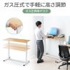 ERD-G12060LM ガス昇降デスク(薄い木目天板/W1200) ERD-G12060LM / ガス昇降デスク(薄い木目天板/W1200)