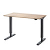 ERD-GAN12070LM ガス昇降デスク(W1200・薄い木目) ERD-GAN12070LM / ガス昇降デスク(W1200・薄い木目)