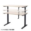 ERD-SH12070LMN 手動昇降デスク(W1200×D700mm・薄い木目) ERD-SH12070LMN / 手動昇降デスク(W1200×D700mm・薄い木目)