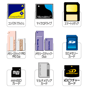 FC-MMC1BK / マルチメモリーカードケース（ブラック）