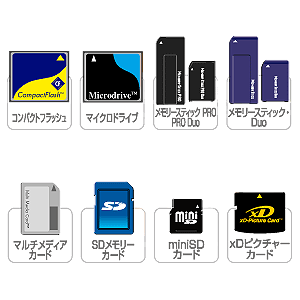 FC-MMC2BK / マルチメモリーカードケース(ブラック)