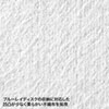 FCD-FRBDWIN50 ブルーレイディスク対応不織布ケース(片面罫線入シート・リング穴付き・50枚入り) FCD-FRBDWIN50 / ブルーレイディスク対応不織布ケース(片面罫線入シート・リング穴付き・50枚入り)