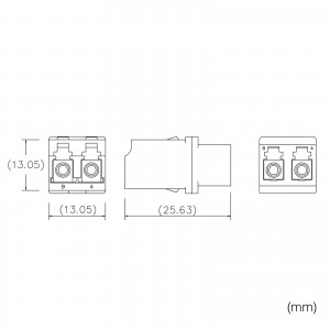 HAD-LCLC2