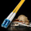 HKB-HLCSC1-01 / 補強メガネ型光ファイバケーブル（シングルモード、LC×2-SC×2、1m）