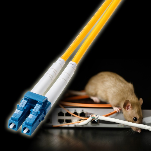ネズミにかじられても安心