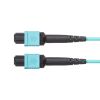 HKB-MPO12M3B-01 MPO光ファイバケーブル(OM3、12芯、B配線、1m) HKB-MPO12M3B-01 / MPO光ファイバケーブル(OM3、12芯、B配線、1m)