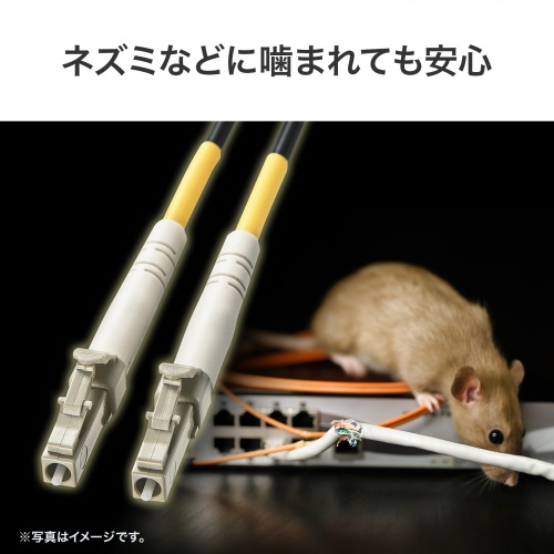 HKB-OM3LCLCWPRB-10 / 防水ロバスト光ファイバケーブル（マルチ50μmOM3、4芯、両端LC×4、10m）