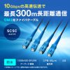 HKB-OM3SCSCWPRB-10 / 防水ロバスト光ファイバケーブル（マルチ50μmOM3、4芯、両端SC×4、10m）