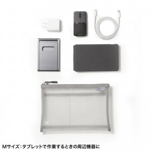 IN-MS2GY