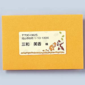 JD-TADS49 / 宛名・フリーラベル(チップ&デール)