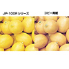 JP-100B4R / インクジェットプリンタ用再生紙（B4）