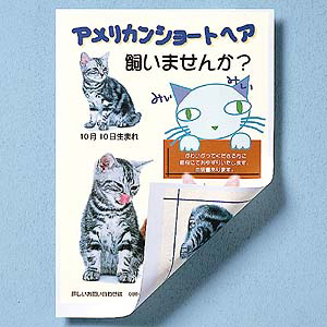 JP-50RVA3 / インクジェット用両面印刷紙(A3)