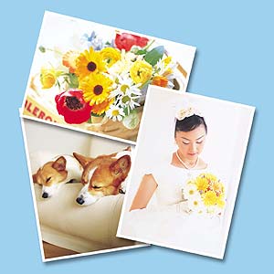 JP-AGUVA6 / インクジェット厚紙&UVカットフィルムセット