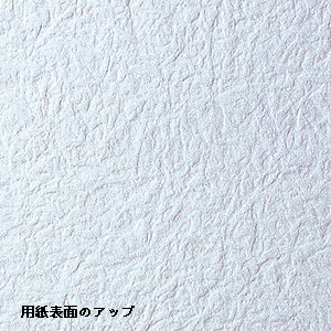 仕様