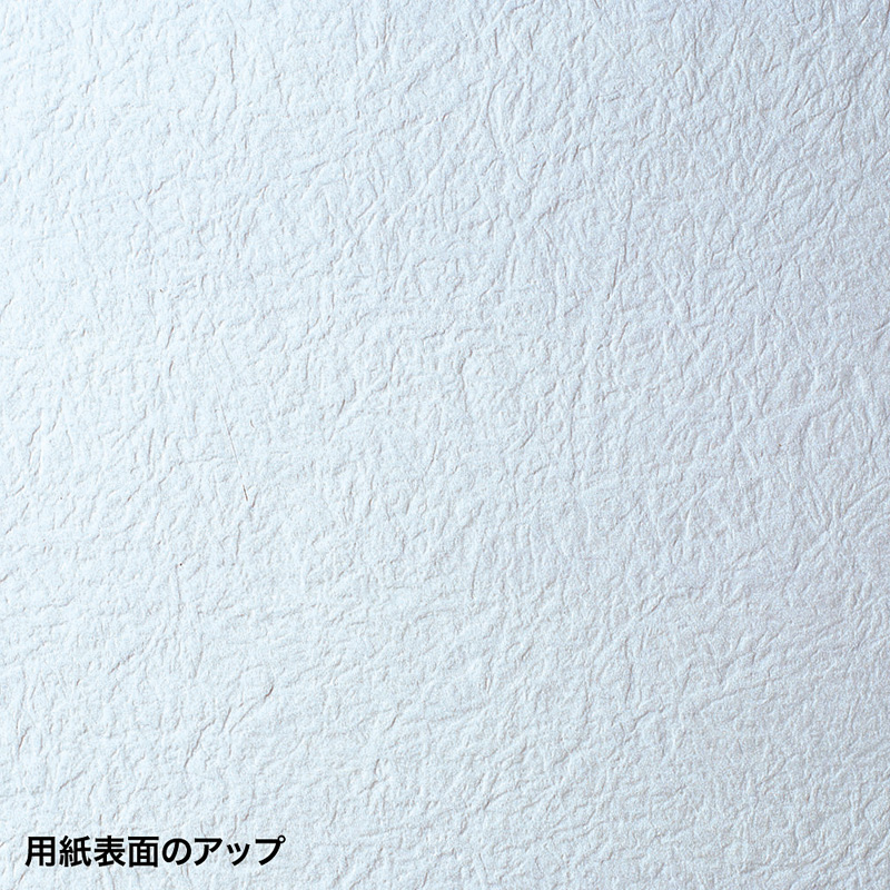 仕様