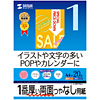 JP-ERV1NA4 インクジェット両面印刷紙(超特厚・A4サイズ) JP-ERV1NA4 / インクジェット両面印刷紙(超特厚・A4サイズ)