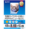 JP-ERV5NA3 インクジェット用両面印刷紙・厚手(A3サイズ) JP-ERV5NA3 / インクジェット用両面印刷紙・厚手(A3サイズ)