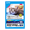 JP-ERV5NA4N-100 インクジェット用両面印刷紙・厚手(大容量・A4サイズ・100枚入り) JP-ERV5NA4N-100 / インクジェット用両面印刷紙・厚手(大容量・A4サイズ・100枚入り)