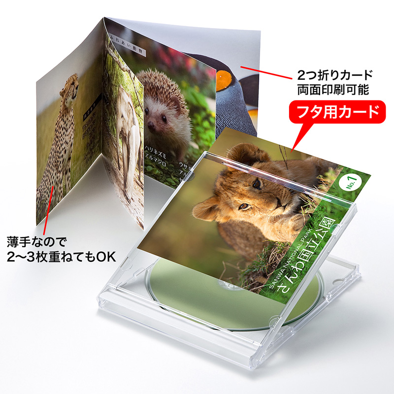 特長