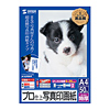 JP-KG4A4 インクジェット写真印画紙(A4) JP-KG4A4 / インクジェット写真印画紙(A4)