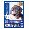 JP-KG5A4 インクジェット写真印画紙(絹目)・A4 JP-KG5A4 / インクジェット写真印画紙(絹目)・A4