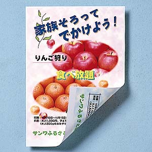 JP-RV20AGA3N / インクジェット用両面印刷紙(厚手・A3ノビ)