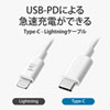KB-IPLC10W ライトニング Type-Cケーブル(1m・ホワイト) KB-IPLC10W / ライトニング Type-Cケーブル(1m・ホワイト)