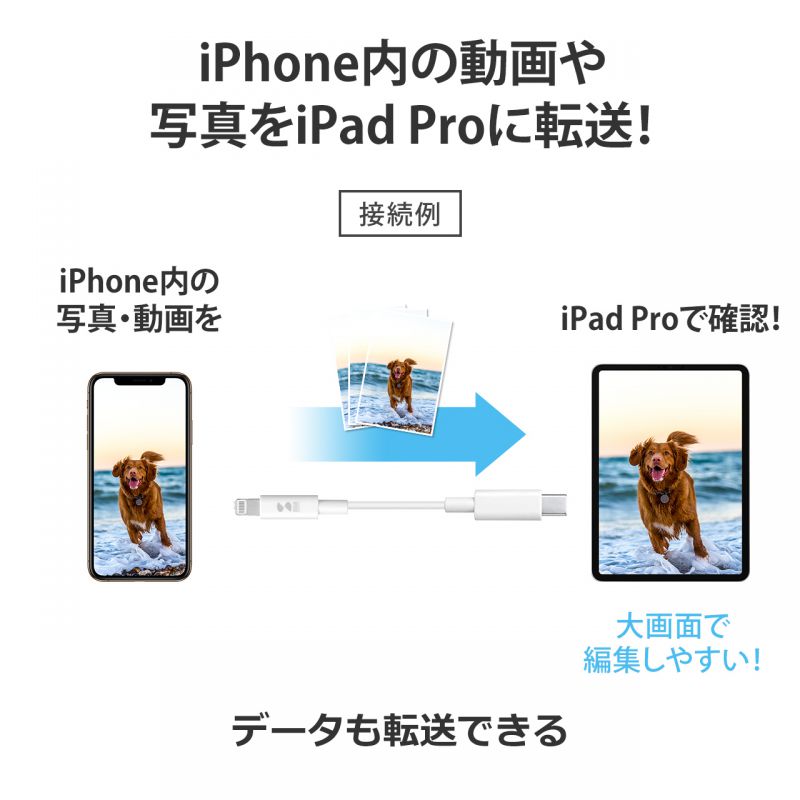 ピックアップ