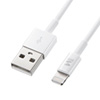 KB-IPLT10K2W ライトニングケーブル(1m・ホワイト) KB-IPLT10K2W / ライトニングケーブル(1m・ホワイト)