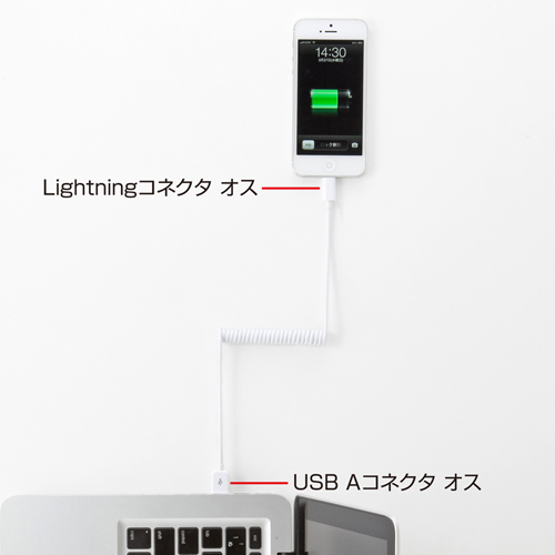 KB-IPLTC10W / ライトニングケーブル（カールコード・ホワイト）