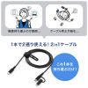 KB-IPLTCCP6010BK / USB2.0 Type-Cケーブル（Lightning変換アダプタ付き・ブラック）