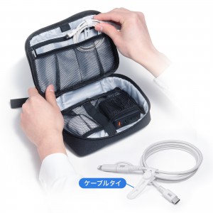 KB-IPLTCCP6010W