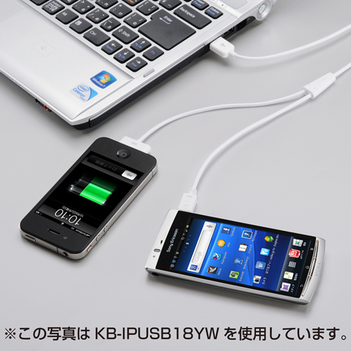 KB-IPUSB18YBK / iPod・iPhone・iPad+スマートホン充電USBケーブル（ブラック）