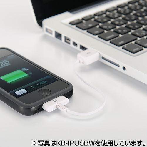 KB-IPUSBP / iPod・iPhone 3G用USBケーブル（ピンク）