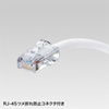 KB-T5KK-02W 抗菌CAT5eLANケーブル(2m・ホワイト) KB-T5KK-02W / 抗菌CAT5eLANケーブル(2m・ホワイト)