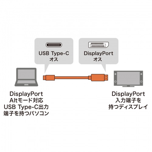 KC-ALCDP10K / Type-C-DisplayPort変換ケーブル（ブラック・1m）