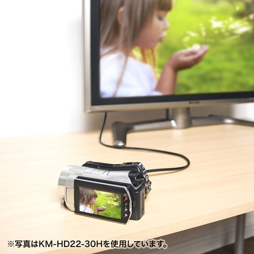 KM-HD22-10H / イーサネット対応ハイスピードHDMIミニケーブル（1m・ブラック）