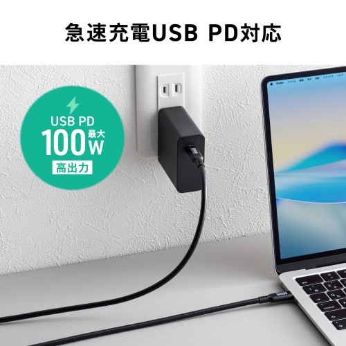 KU-10GCCP10010 / USB10GbpsType-Cケーブル(PD100W・映像出力対応・1m)
