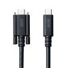 KU-20GCCPEDSL20 / 抜け止め防止Type-Cケーブル（シングルクリューロック・20Gbps・240W・2m）