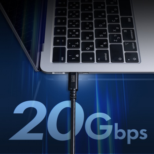 KU-20GCCPEDSL20 / USB 20Gbps Type-Cケーブル（デュアルスクリューロック・240W・2m）