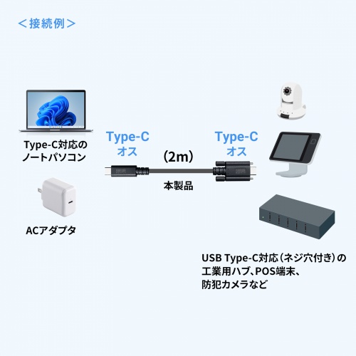 KU-20GCCPEDSL20 / USB 20Gbps Type-Cケーブル（デュアルスクリューロック・240W・2m）