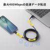 KU-CA20TK2 USB 2.0 Type-Cケーブル(C-A・ストレート・2m) KU-CA20TK2 / USB 2.0 Type-Cケーブル(C-A・ストレート・2m)