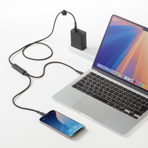 KU-CCP100D12BK / USB2.0Type-Cケーブル（2台同時充電＋通信・PD100W）