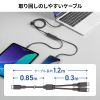 KU-CCP100D12BK / USB2.0Type-Cケーブル（2台同時充電＋通信・PD100W）