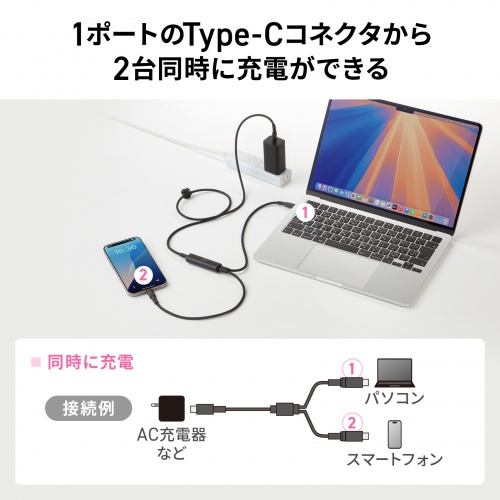 KU-CCP100D12BK / USB2.0Type-Cケーブル（2台同時充電＋通信・PD100W）