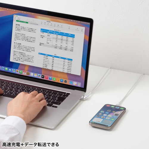 KU-CCP100KA10W / USB2.0 Type-Cコネクタ540度回転ケーブル(PD100W・1m・ホワイト)
